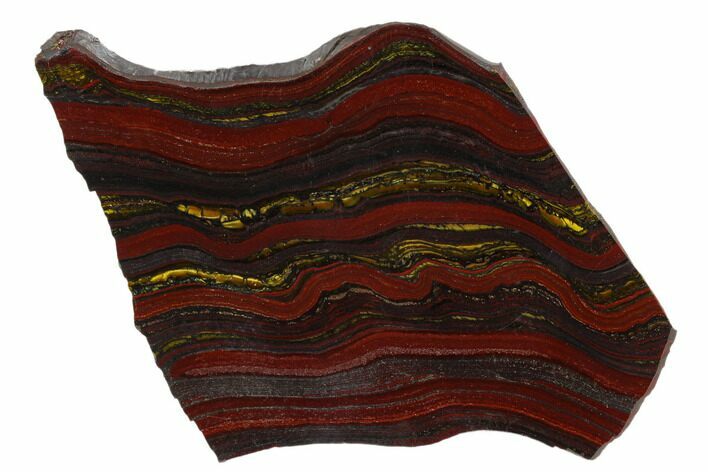 Polished Tiger Iron Stromatolite - Billion Years #129260